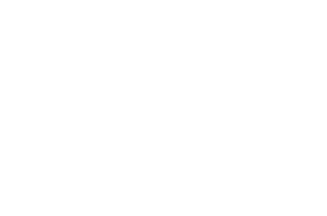 Lotus (1)